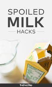 What To Do With Spoiled Milk Recipe Using Sour Milk Milk Recipes Dessert Sour Milk Recipes