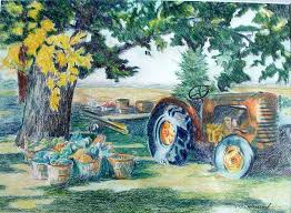 Mary Louise Delarosbel Color Pencil The Farmer Mississauga Road At North Entrance To Erindale College Art Painting Original Paintings