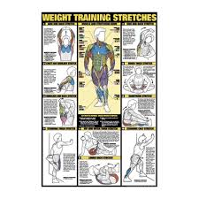 the weight training stretches chart