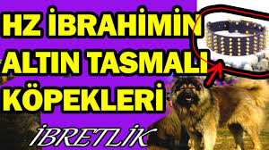 Çünkü yüce allah'ın, recep ayının her vaktinde cehennemden azat ettiği kulları vardır. Recep Ayinda Oruca Nasil Niyet Edilir Taha Yasin Kardesiniz Youtube