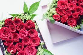 We are specialised and passion in wedding planning with new ideas of gubahan hantaran perkahwinan, bunga pahar & cenderahati majlis, pelamin, hiasan & dekorasi majlis dengan bungaan segar, solekan & pakaian. Kedai Bunga Hidup Segar Harga Borong Di Petaling Street Pasar Seni Kuala Lumpur Farah Dafri