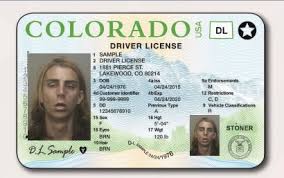 Full legal name, date of birth, identity, and lawful presence in the us. C O L O R A D O I D C A R D Zonealarm Results