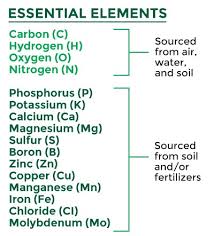 Know Your Nutrients 16 Essential Elements Omex