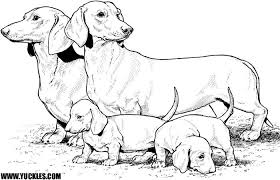I've also got a cute dog house for. Dachshund Coloring Pages Coloring Home