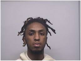 Stamford man charged with racketeering, animal cruelty for dog-running  operation to remain in CT