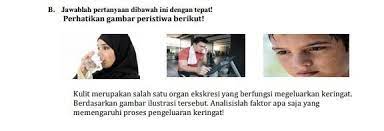 Pengeluaran keringat dipengaruhi beberapa faktor, yaitu suhu lingkungan, aktivitas tubuh, emosi, dan kondisi psikis. Perhatikan Gambar Peristiwa Berikut Kulit Merupakan Salah Satu Organ Ekskresi Yang Berfungsi Brainly Co Id
