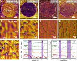 Discover more music, more often. Subatomic Deformation Driven By Vertical Piezoelectricity From Cds Ultrathin Films Science Advances