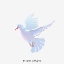 White Pigeon Vector Material White Vector Dove Vector Material Vector In 2020 White Doves Dove Images Vector