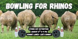 Bowling for Rhinos