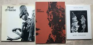 Bildergebnis für Roel D'Haese