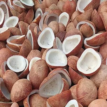 Dried Copra