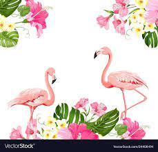 Flamingo Background Design Tropical Flowers Vector Image Tattoos And Piercings Background Des Tropical Flowers Illustration Flamingo Art Print Flamingo