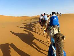 Erg chebbi dunes via erfoud, rissani and merzouga our company provides you a unique experience of camel trekking tours in which you ll discover the beauty of desert during the sunset and the sunrise. Morocco Camel Trekking Merzouga Camel Ride Erg Chebbi Dunes