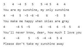 You Are My Sunshine Wildflower Harmonica Harmonica Lessons You Are My Sunshine Music Lessons