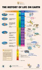 know the history of life on earth in one page history of