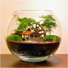 Japonlarin Cicek Susleme Sanati Ikebanasindan Sonra Son Yillardaki En Gozde Cicek Duzenlemesi Teraryumlar Evlerdeki Yeni Camdan Bahce Terraria Terrarium Bitki