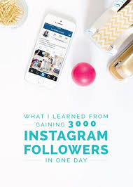 What I Learned From Gaining 3 000 Instagram Followers In One Day Instagram Followers Blog Social Media Instagram Marketing Tips
