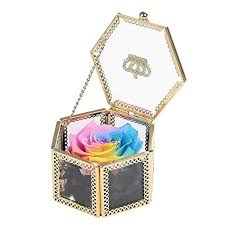 We did not find results for: Mffd Preserved Flower Rose Never Withered Roses Upscale Immortal Flowers Gifts For Women Her Girls Sister Mother S Day Valentine S Day Anniversary Birthday Wedding Buy Online In Bahamas At Bahamas Desertcart Com Productid 95277356