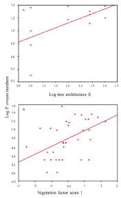 Image result for Hilsenbergia petiolaris
