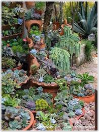 Recycle Your Old Pantyhose For Garden Use Pantyhose Make Exceptional Garden Ties As They Are Very Succulent Landscape Design Rock Garden Landscaping Succulents