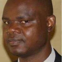 PDF) Influence of selected tree species