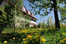Gasthaus n (genitive gasthauses, plural gasthäuser). Gasthaus Seerose Restaurant Zimmer Brennerei Kressbronn Bodensee