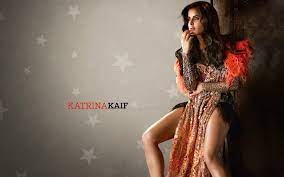 Katrina Kaif Wallpapers HD (72+ images)