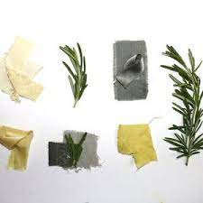Rosemary The Leaves Of The Rosemary Plant Can Be Used To Make A Yellow Green Dye When Iron Is Added As A Mod Natural Green Dye Natural Dyes How To Dye