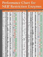 Restriction Enzyme Chart Related Keywords Suggestions