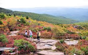 Stampa di rough ridge overlook. Rough Ridge Hike Blue Ridge Parkway Hike On Parkway Near Sugar Mountain