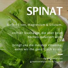 Was Spinat Gesund Macht Und Wir Beim Kochen Beachten Sollten Spinat Gesund Spinat Kartoffelpurree