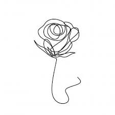 Flower Continuous One Line Art Drawing Vector Illustration Awesome Rose Isolated On White Background Roses Clipart Flower Nature Png And Vector With Transpa In 2021 Line Art Flowers Line Art Drawings