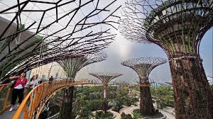 50 Amazing Vertigo Inducing Attractions Photos Singapore Garden Pictures Gardens By The Bay