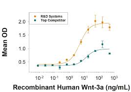 Recombinant Human Egf Protein Cf 236 Eg 200 R D Systems