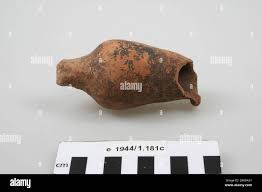 Image result for Mohria vestita