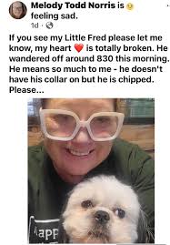 ⚠️ STOLEN! ⚠️ THIS MORNING FROM POPLAR ROAD, NAPTON PLEASE SHARE. IF ANYONE  HAS ANY FOOTAGE OR INFO, PLEASE MESSAGE ME.