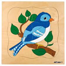 Recent coverage in major new outlets has called attention. Growth Puzzle Bird Educo