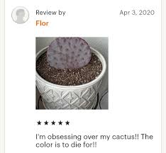 To put it simply, a ticking entity is either a modded block, mob or animal which will cause your server to crash. Cactus Orphanage Posts Facebook