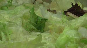 Yes, you read that right. Salad Product Recall Over E Coli Bacteria Impacts 22 States