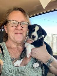 Thank you for transporting the baby animals