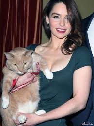 Pin By Levia On Emilia Clarke Cats Cat Lovers Emilia Clarke