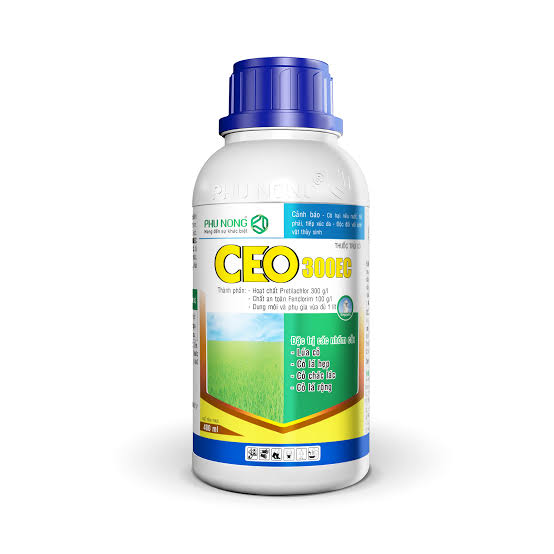 Ceo 300EC