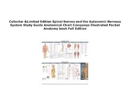 Download _p D F Spinal Nerves And The Autonomic Nervous