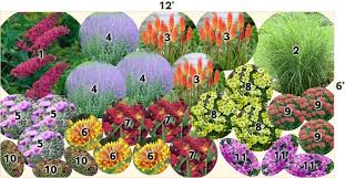 Browse our collection and find colorful perennials for your usda hardiness zone 5 garden. Shade Garden Layout Zone 5 Google Search Garden Google Layout Search Shade Zone Shade Garden Plants Perennial Garden Plans Drought Tolerant Perennials