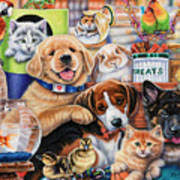 A native of tucson, arizona, jenny newland has been painting professionally for eighteen years. Pet Shop Painting By Jenny Newland