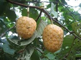 Pin On Beautiful Kerala