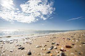 La Spiaggia Di Ravenna Alle 8 Del Mattino Italy Spiaggia Spiagge Foto