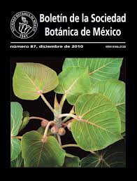 Sin criticar las decisiones estéticas y escénicas, ni siquiera la fuerza de las. Floral Anatomy Of The Milla Complex Genera Themidaceae Botanical Sciences