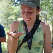 Hummingbirds at Elk Creek Campground Colorado