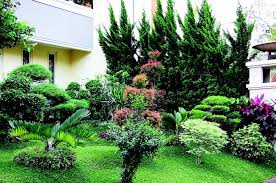 Tertarik untuk menghias rumah dengan tanaman hias daun tetapi bingung harus mulai dari mana? Warna Warni Tanaman Hias Daun Percantik Taman Ini Indahnya Semua Halaman Idea